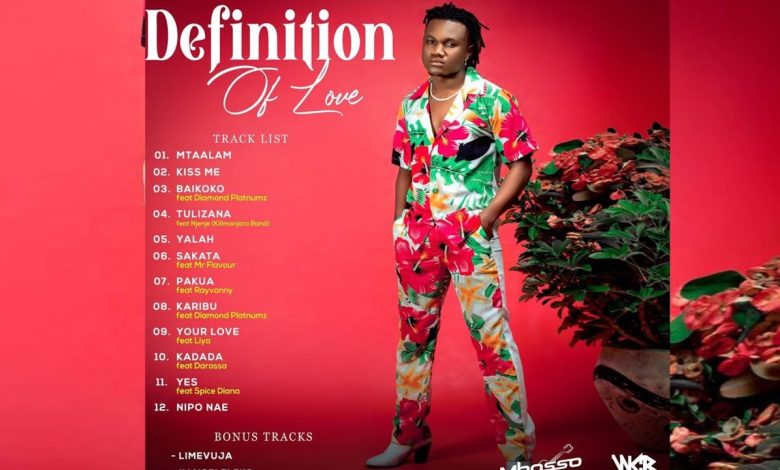 Definition of Love Album mp3 Download - Karibu by Diamond ft Mbosso