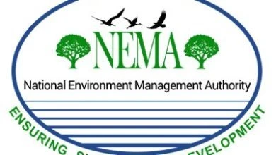 nema