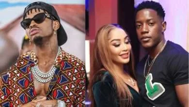 zari and shakib