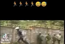 murife dont run