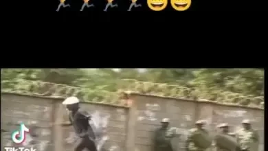 murife dont run