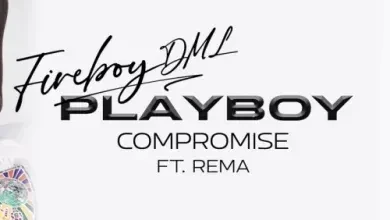 Rema and I are the two leading artistes of our generation says Fireboy DML