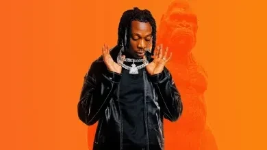 Fik Fameica Releases 2022 King Kong Album