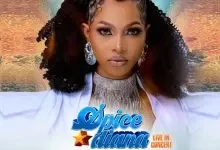 How to buy tickets for Spice Diana Live Concert 2023